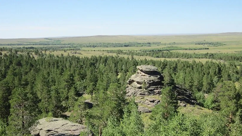 «Бұйратау» ұлттық паркінің Белодымов филиалында өртті ерте анықтау жүйесі орнатылады